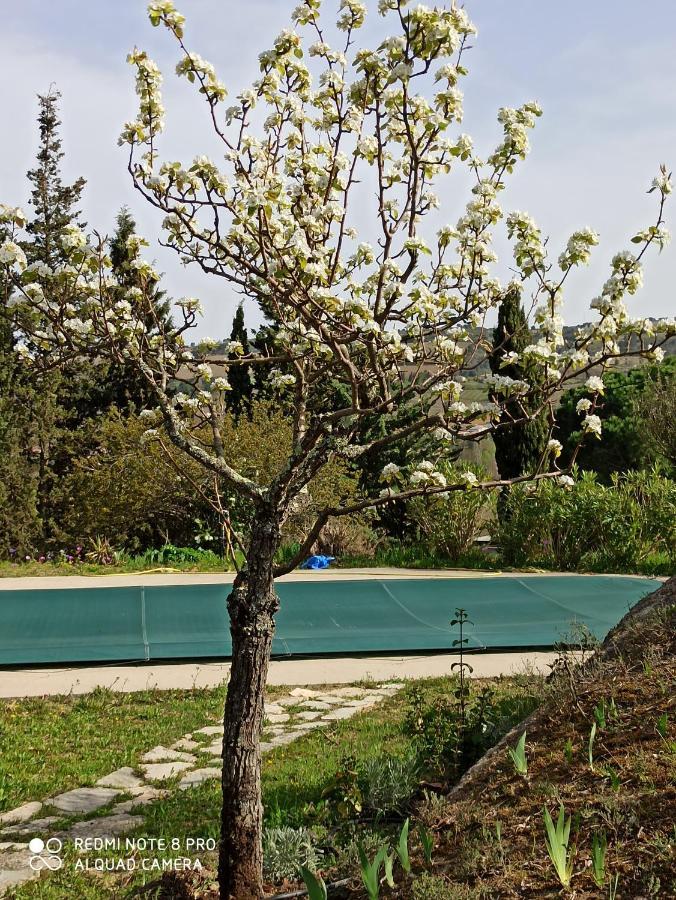 Le Rocher Au Thym Hébergement de vacances